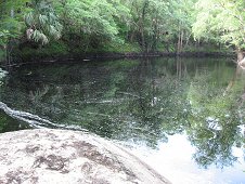 Diving & Digging for Fossils - Aucilla River, Florida. Many well preserved fossils found here.
