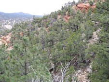 Glorieta Expeditions - Lots of mountain climbing while swinging a metal detector.