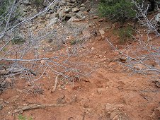 Glorieta Expeditions - Red hillside where Patrick found his stone.