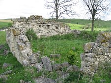 Mifflin Expedition - Homestead remains.