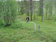 Muonionalusta Expedition - Devin hunting in a clearing.