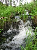 Muonionalusta Expedition - Refreshing little waterfall in the forest.