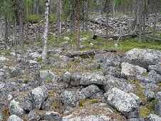 Muonionalusta Expedition - Rocky terrain in part of the hunting area.