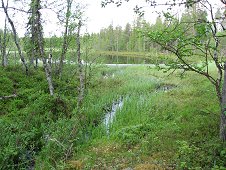 Muonionalusta Expedition - Lots of deep bogs in the hunting grounds.