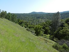 Sutter's Mill Expedition - Hillside behind Moorman property. View 1