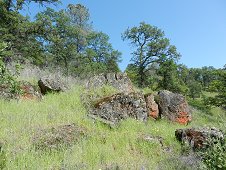 Sutter's Mill Expedition - Hillside behind Moorman property. View 2