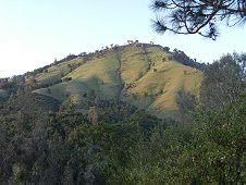 Sutter's Mill Expedition - Sunlit hillside in the strewnfield.