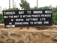 Thika, Kenya Expedition - We had to drive through the greenhouse complex to access another village.