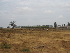 Thika, Kenya Expedition - Hired locals hunting for meteorites around their village.