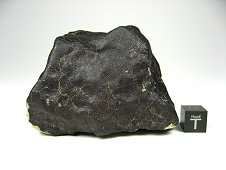 UCF Laboratory - Complete NWA 7030 ungrouped meteorite.