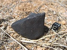 Whetstone Mountains Expedition - 69.9 gram stone - View 2.