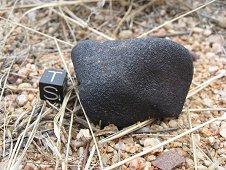 Whetstone Mountains Expedition - In situ with 1cm scale cube for size reference. View 1.