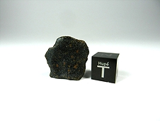 Camel Donga Eucrite Meteorite