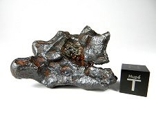 Glorieta Mountain Pallasite Meteorite