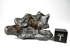 Glorieta Mountain Pallasite Meteorite