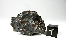 Glorieta Mountain Pallasite Meteorite
