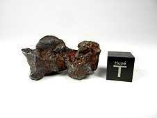 Glorieta Mountain Pallasite Meteorite