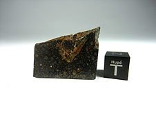 Hart, TX CK3 Carbonaceous Chondrite