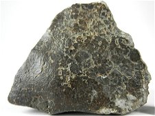 NWA 2696 Howardite Meteorite