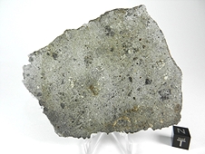 NWA 2696 Howardite Meteorite