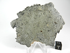 NWA 2696 Howardite Meteorite