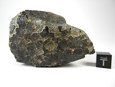 NWA 2696 Howardite Meteorite