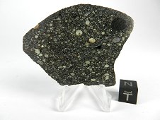 NWA 2798 L3.2 Chondrite Meteorite