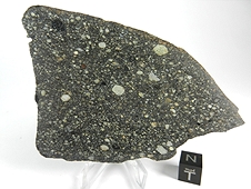 NWA 2798 L3.2 Chondrite Meteorite