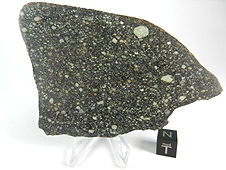 NWA 2798 L3.2 Chondrite Meteorite