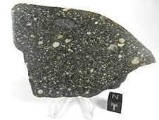 NWA 2798 L3.2 Chondrite Meteorite