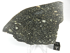 NWA 2798 L3.2 Chondrite Meteorite