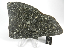 NWA 2798 L3.2 Chondrite Meteorite
