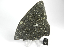 NWA 2798 L3.2 Chondrite Meteorite