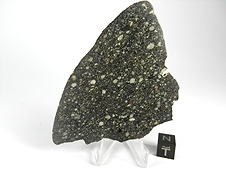 NWA 2798 L3.2 Chondrite Meteorite