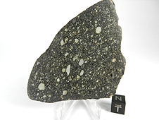 NWA 2798 L3.2 Chondrite Meteorite