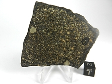 NWA 2798 L3.2 Chondrite Meteorite