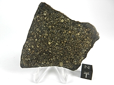 NWA 2798 L3.2 Chondrite Meteorite