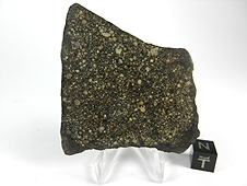 NWA 2798 L3.2 Chondrite Meteorite