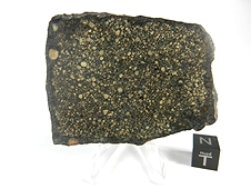 NWA 2798 L3.2 Chondrite Meteorite