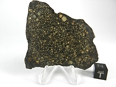 NWA 2798 L3.2 Chondrite Meteorite