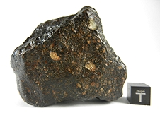 NWA 2798 L3.2 Chondrite Meteorite
