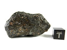 NWA 2798 L3.2 Chondrite Meteorite
