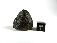 NWA 2798 L3.2 Chondrite Meteorite