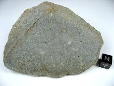 NWA 2828 Enstatite (EL3-6) Meteorite