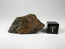 NWA 2835 Metachondrite (H7) Meteorite