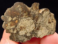 NWA 2917 LL4 Chondrite Meteorite