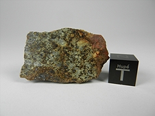 NWA 2917 LL4 Chondrite Meteorite