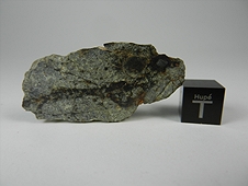 NWA 2917 LL4 Chondrite Meteorite