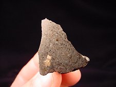 NWA 2999 Angrite Meteorite