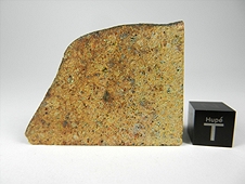 NWA 3143 Diogenite Meteorite